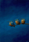 drie ijsvogels op staand blauw   19.8 x 29.4 cm (verkocht)